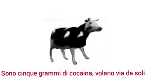 cow traduzione